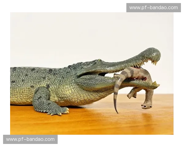 巅峰博弈：鳄鱼vs万物，谁才是生存与品味的终极霸主？